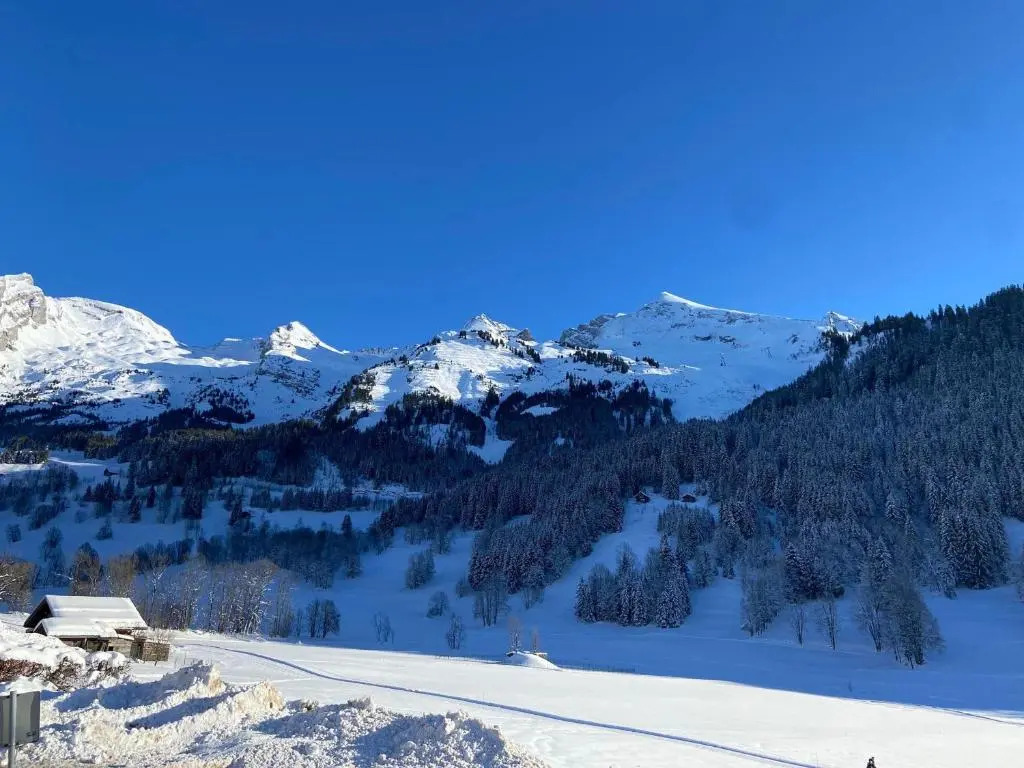 Appartement La Clusaz, 2 pièces, 6 personnes - FR-1-437-90