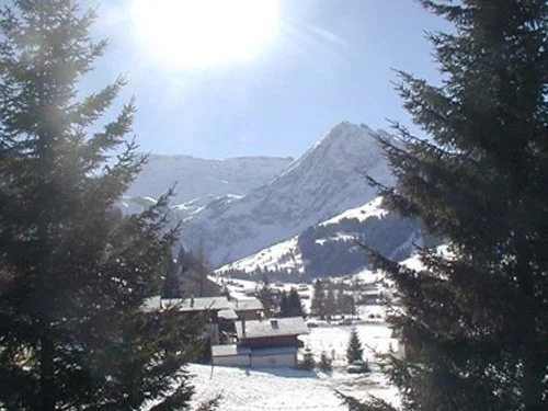 La Sauterelle 12589