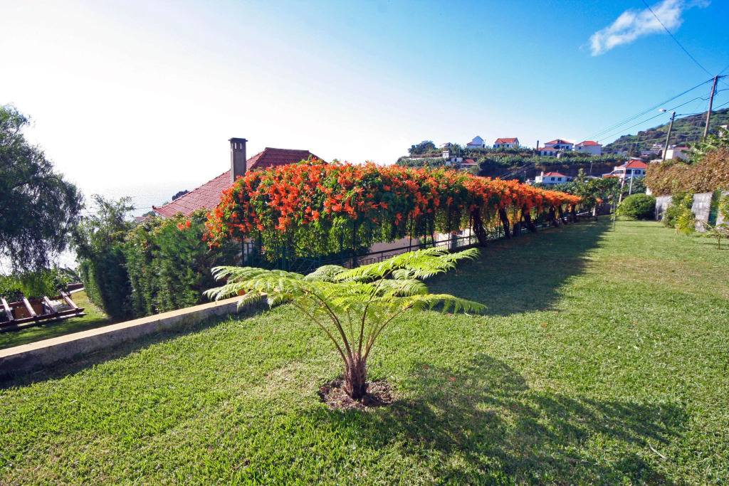 Lovingly restored old villa, heated pool, garden, sea views | Quinta Girassol
