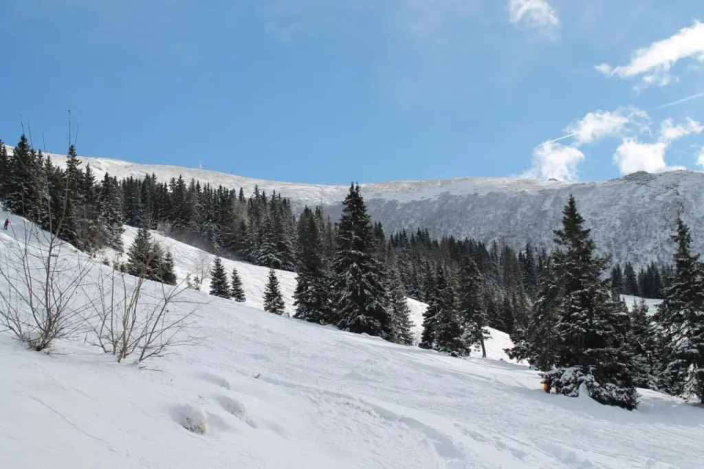 Chalet Almrausch
