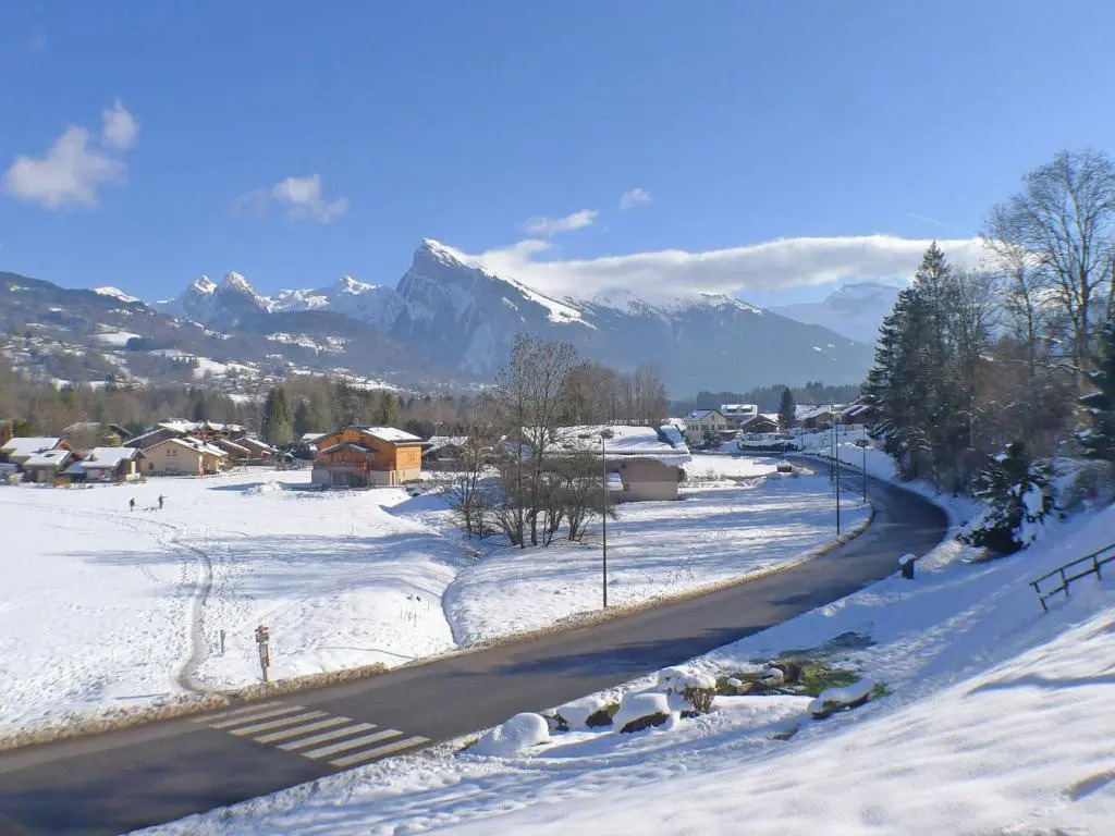 Appartement cosy à Morillon, animaux admis - FR-1-629-90