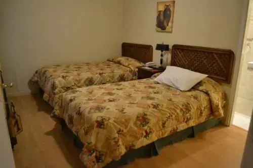 Hostal Terrasur