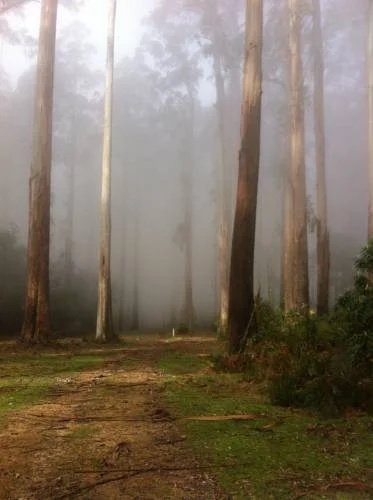Wombat Cottage Bed & Breakfast
