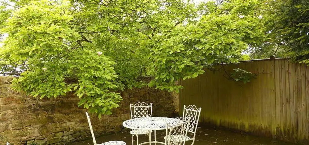 The Coach House
