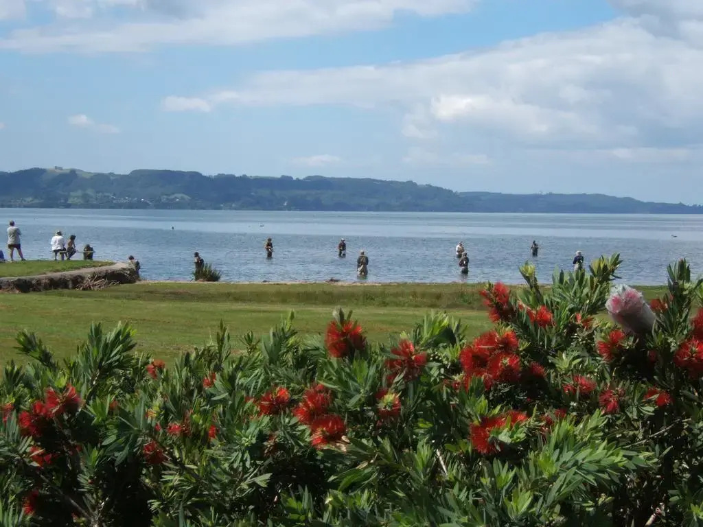 Ngongotaha Lakeside Lodge