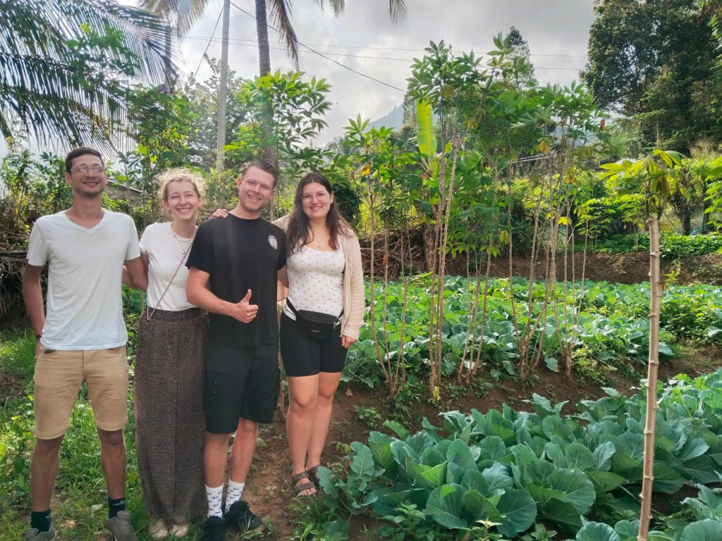 Ella Nature valley homestay