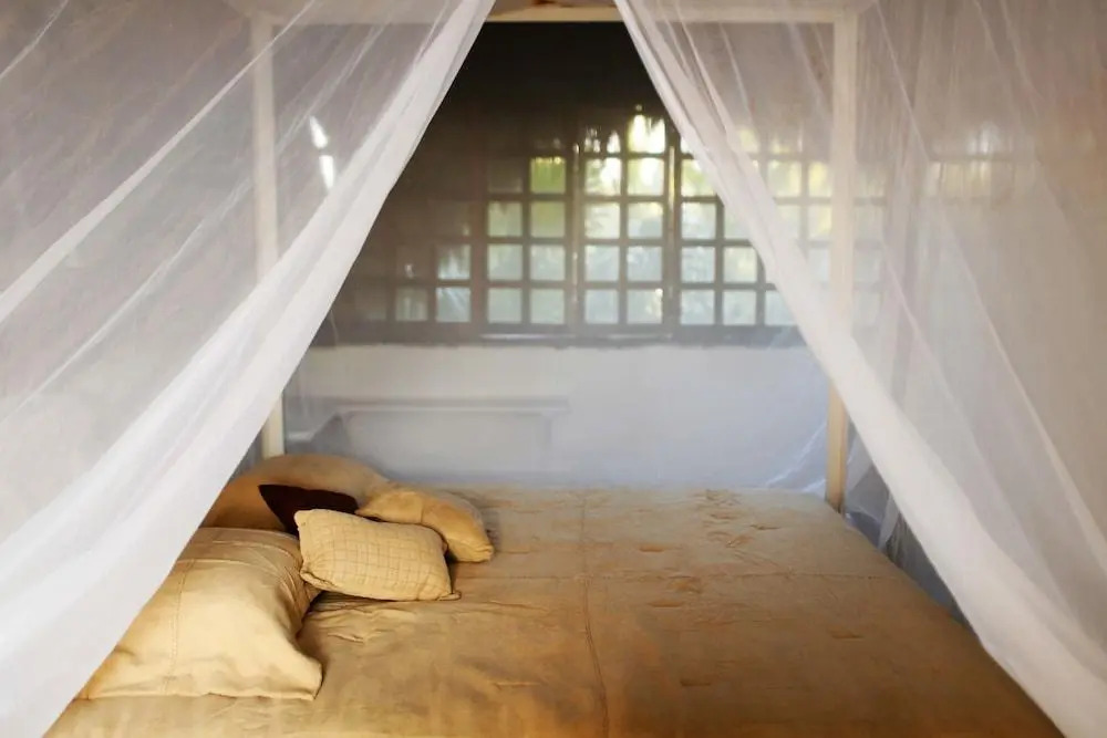 Casa Selva de Luz