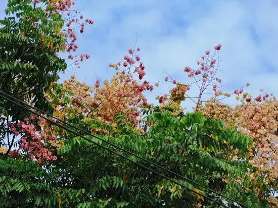 Jinxian Changshan Holiday Hotel