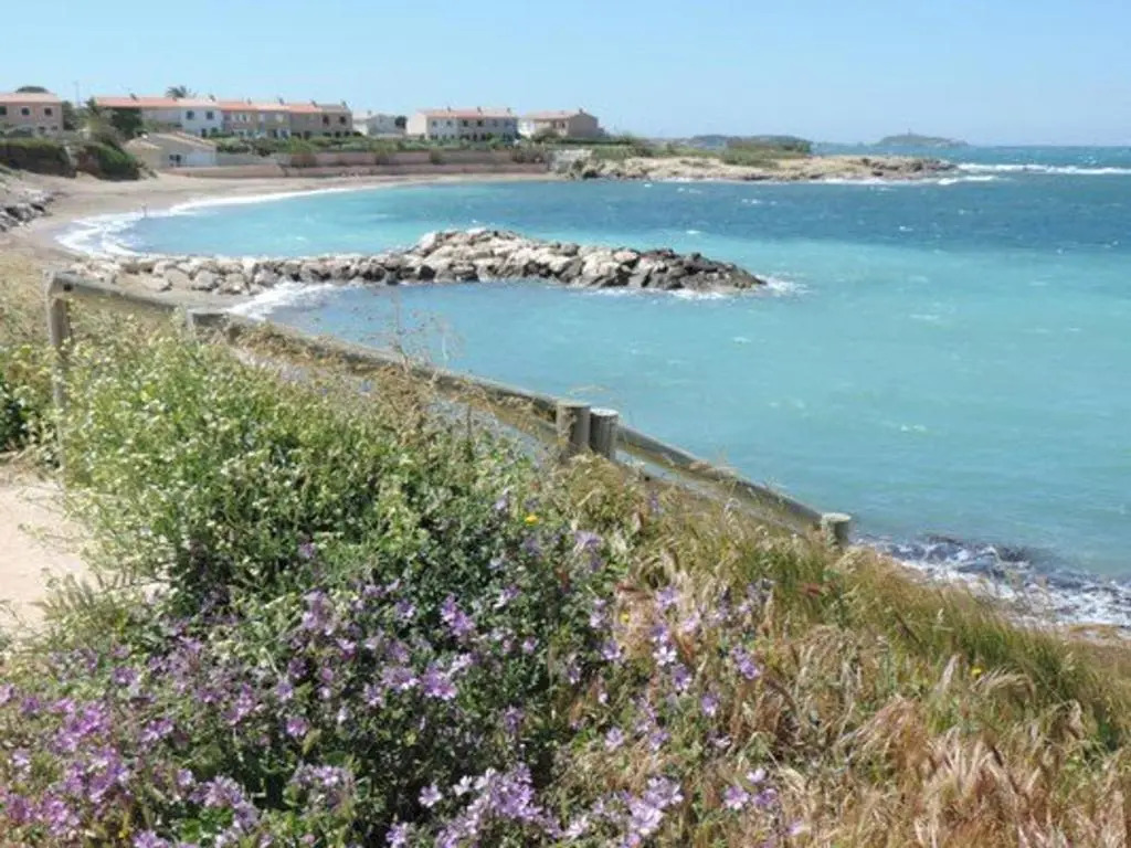 Appartement Six-Fours-les-Plages, 2 pièces, 4 personnes - FR-1-316-16