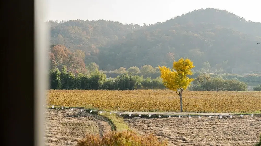 Gyeongju Starlight Pension