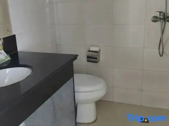 Z+ Da Fuhao Hotel (Taixing Road)