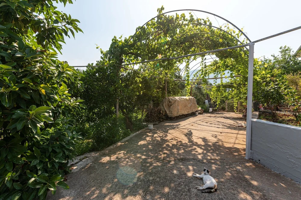 Serene Seaside Bliss - Lush & Secluded Garden Oasis