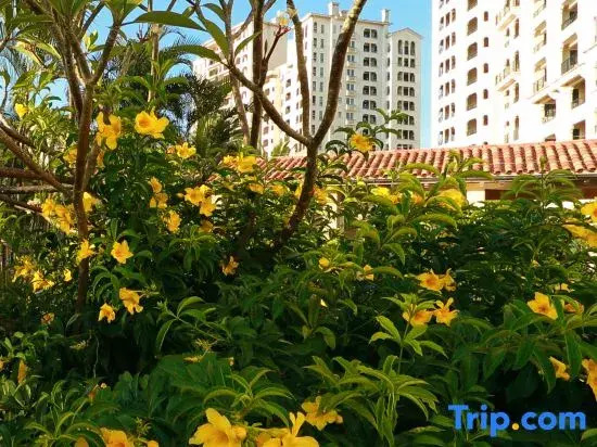 Hello Ocean View Homestay (Qionghai Boao Branch)