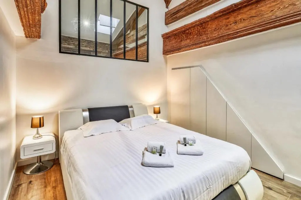 Charming and luxury flat in St-Cyprien district in Toulouse - Welkeys
