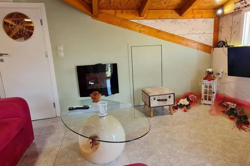 'The Swan 2' Amazing Attic with View !