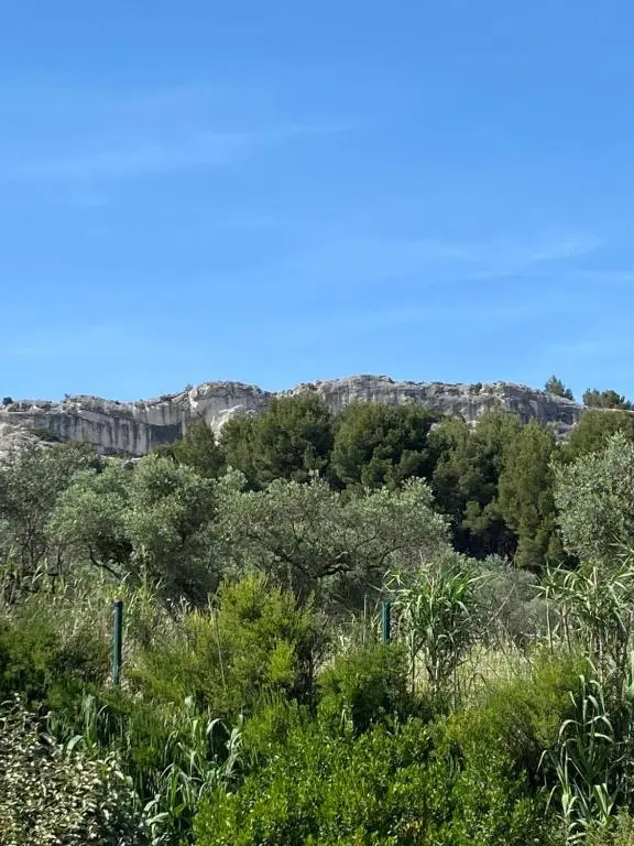 Appartement Paradou cadre splendide