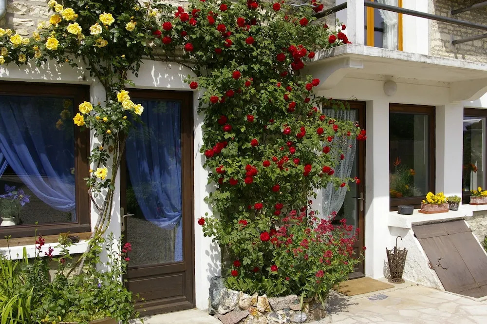 Gîte Chez Jo