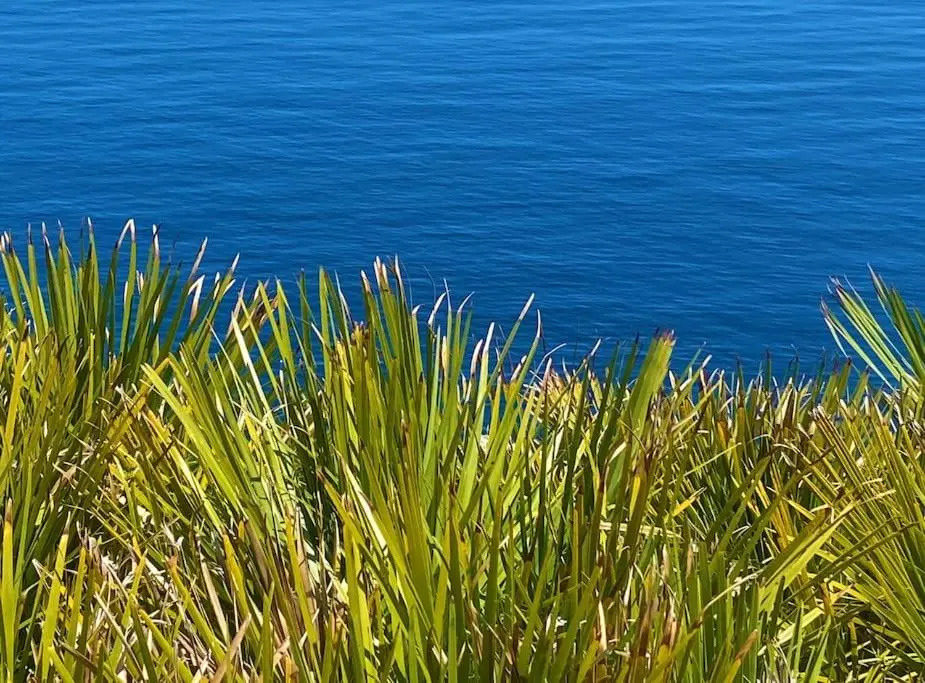 Gelsomino Sea View Suite & Spa