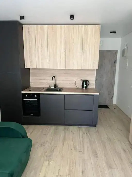Modern & cozy studio with patio “Prie Juros”