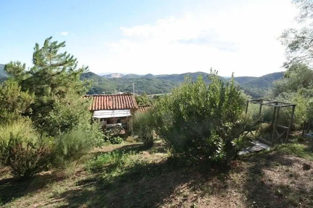 Villa il Basso