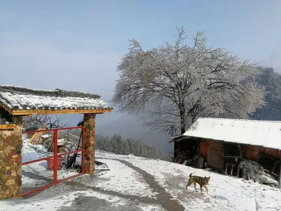 ZhangJiaJieBanpol· Huiwang Mountain Residence Homestay (Zhangjiajie Forest Park Store)