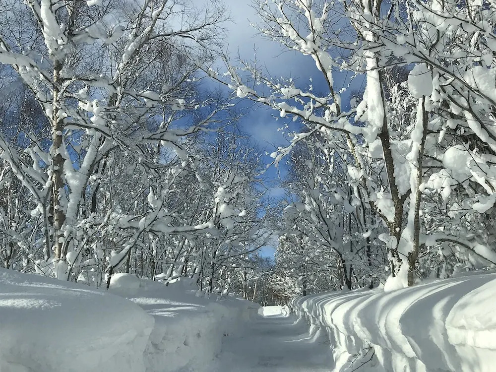Casa Bell Niseko