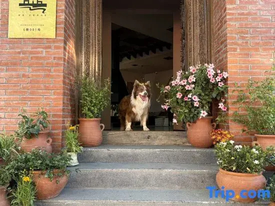 Nalati Hubai · Youjian Anasu Homestay (Nalati Scenic Area)