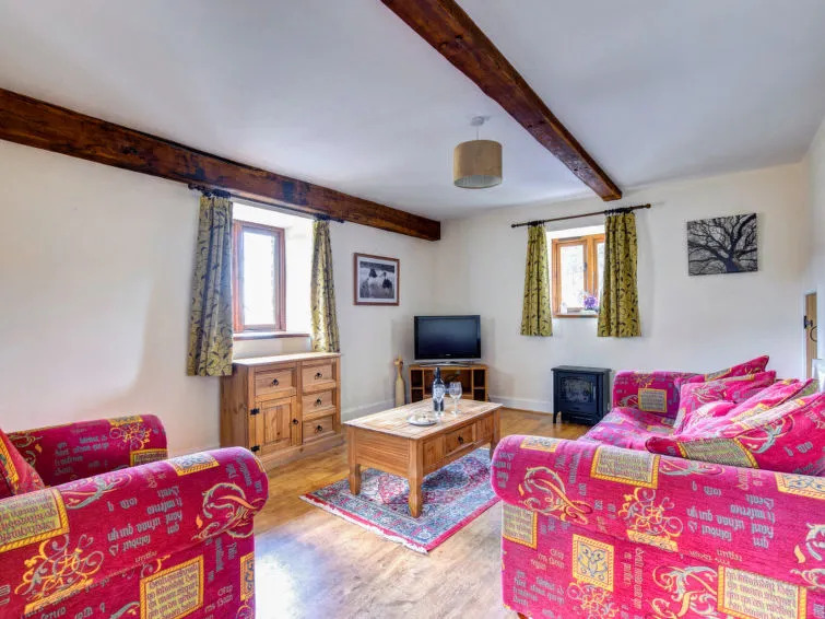 Holiday Home Y Barcud Coch