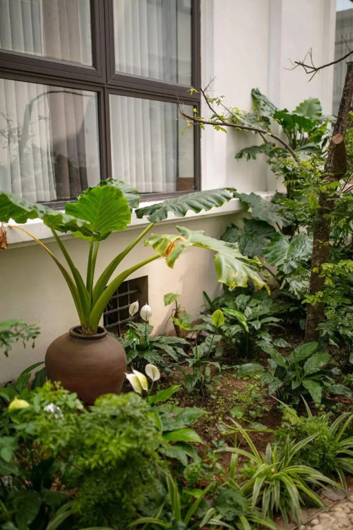 Nam Hoa Hotel