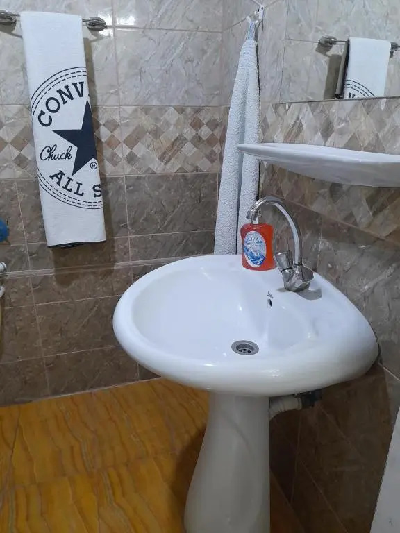 mini house