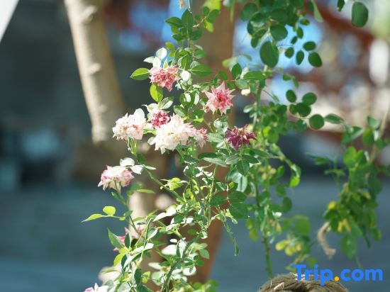 Yilan• Central Asia-Europe-Africa Ring Youth Hostel