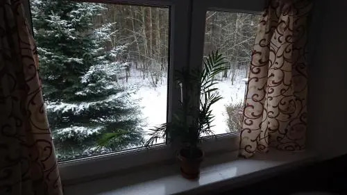 Gościniec Lizawka