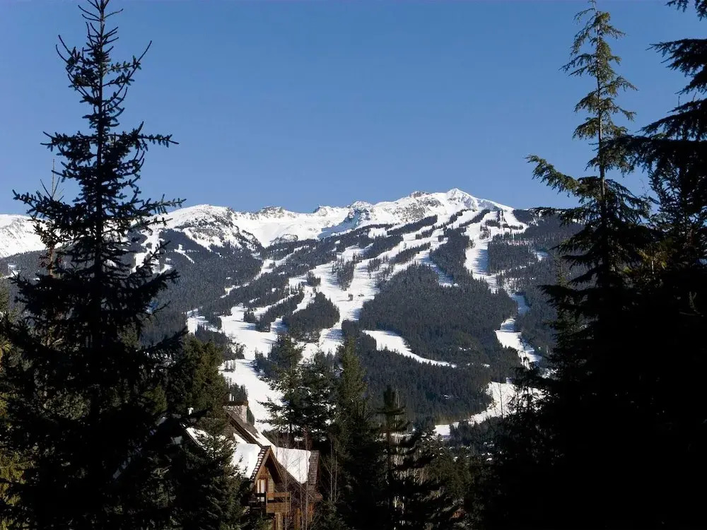 Luxury 5 Bedroom Blueberry Chalet