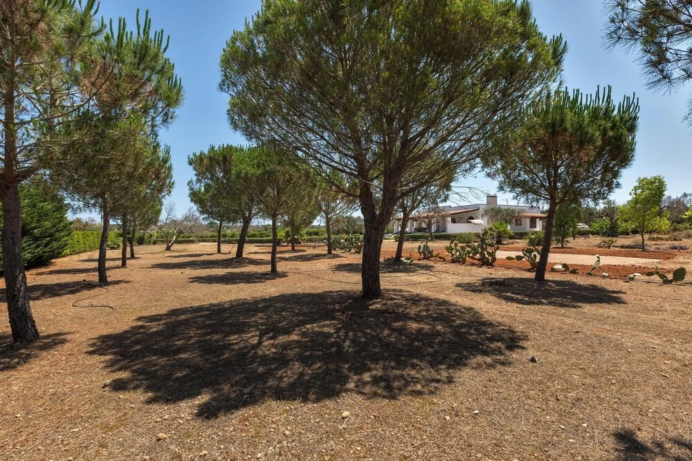 Villa Picciurro