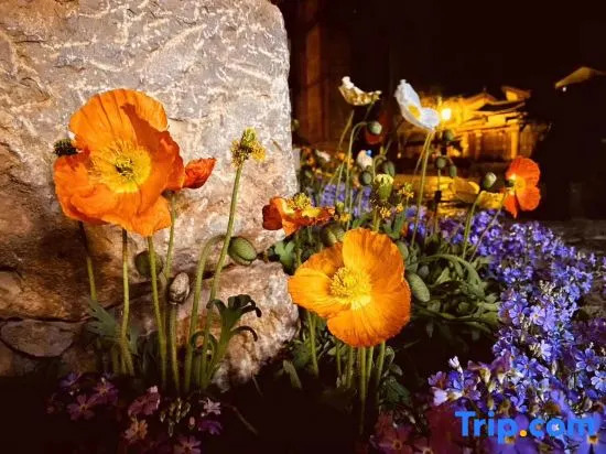 Lijiang Nanning Chinese-style aesthetic lifestyle