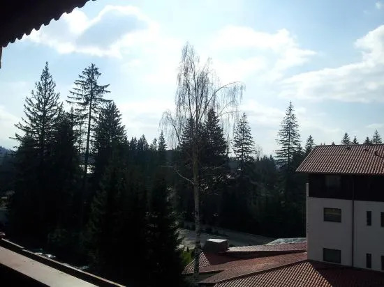 Studio Montana