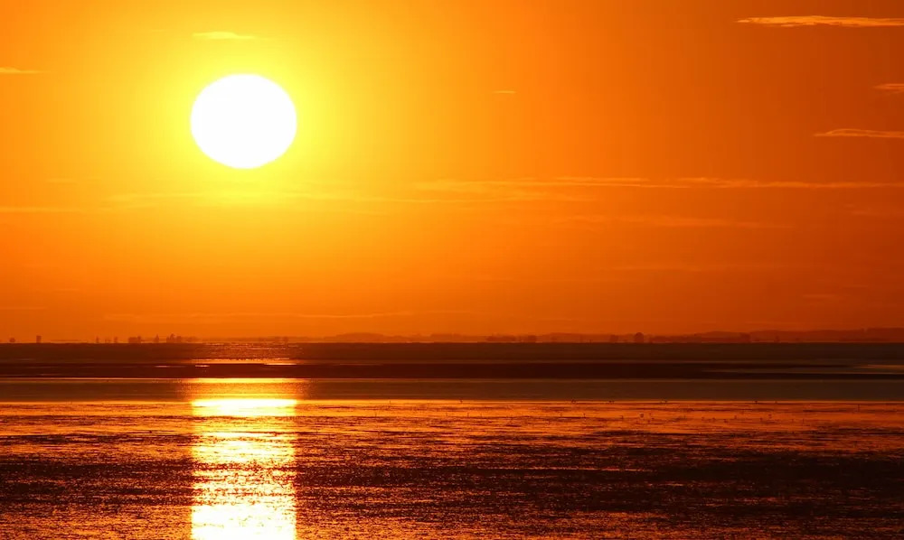 Norfolk Farm Stays by Beach Dog Friendly