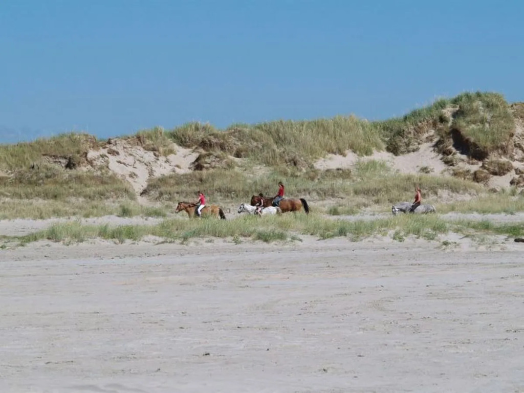 "Franka" - 800m from the sea in Western Jutland