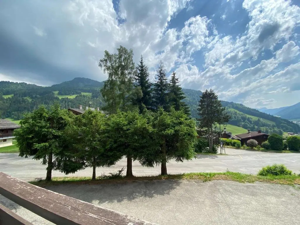 Appartement Le Grand-Bornand, 1 pièce, 4 personnes - FR-1-241-65