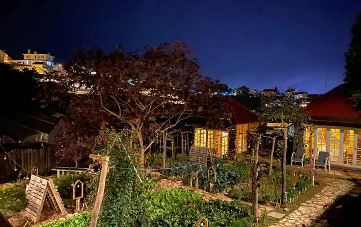 The Burrow Dalat