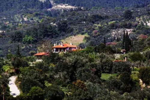 Vateri