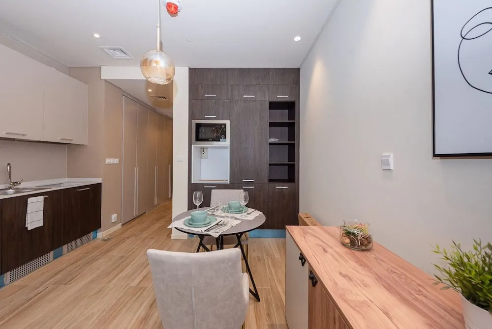 Park View Spacious Studio Dubai
