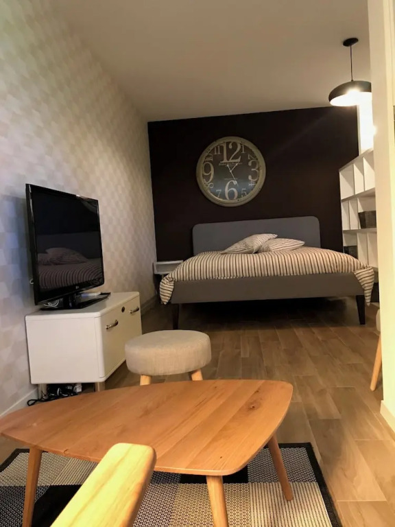 Large Studio Near Epfl And Lausanne City Center