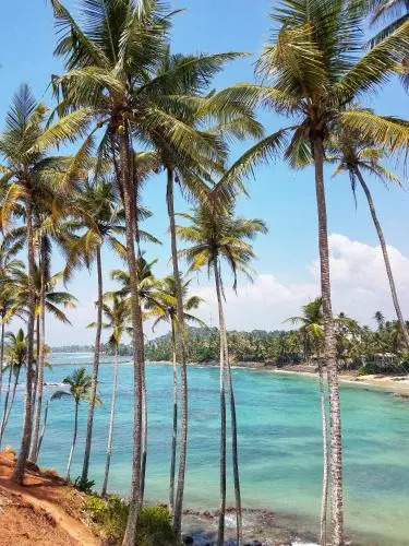 Hotel Dreams Lanka