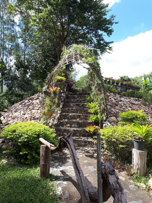 Rai Phuphapok