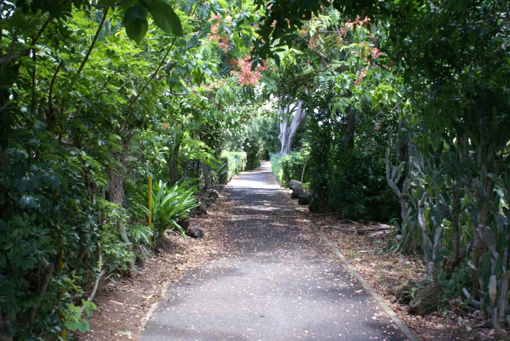 Waimea Bay Cottage