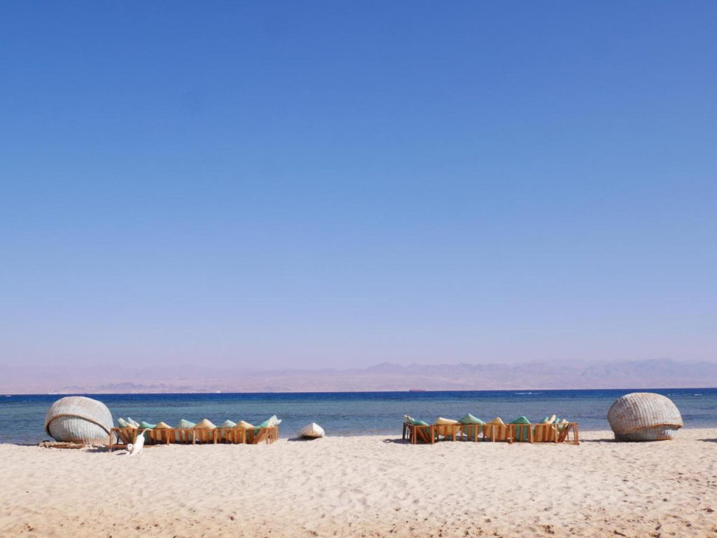 Buddha Camp