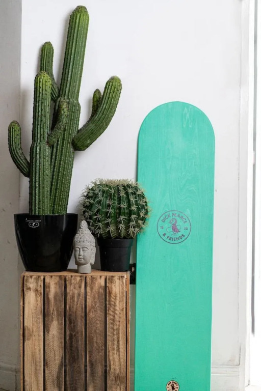 OYO Shore Surf Lodge