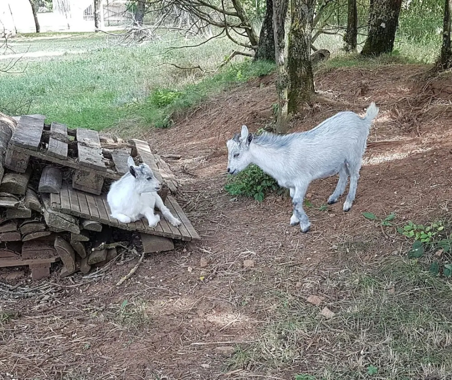 Camping Au Tour de lAveyron