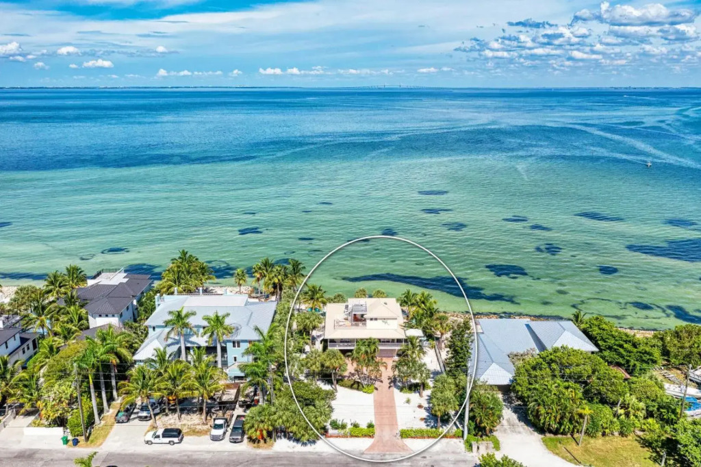 Dolphin Tales - 836 S Bay